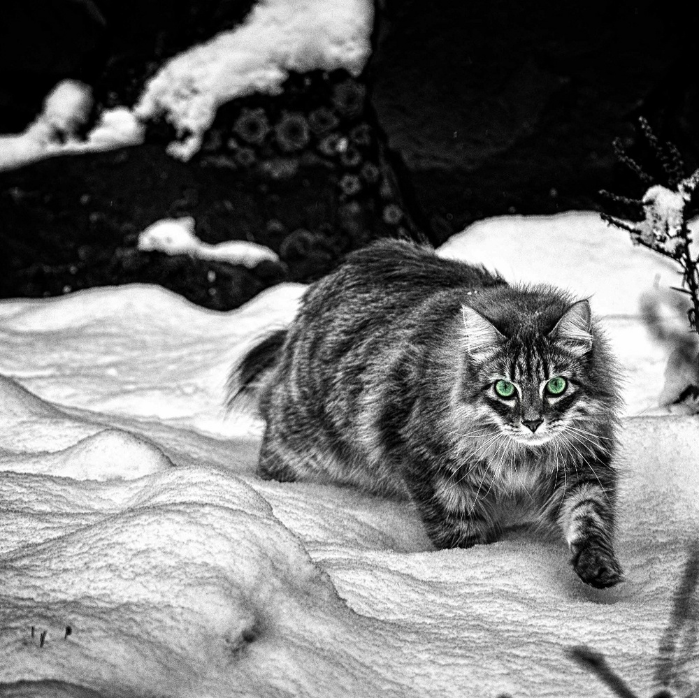 Meet your Posher, Keri